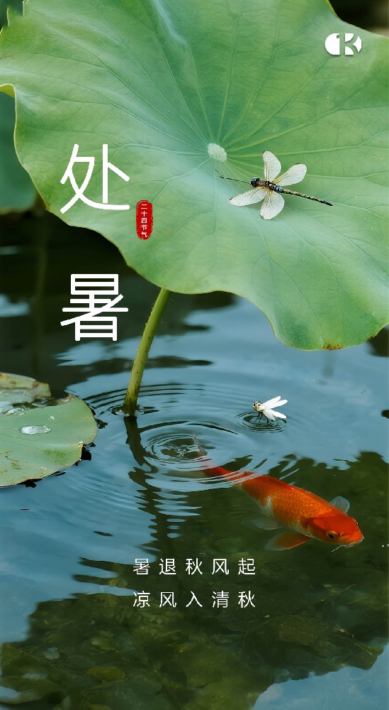 處暑至，習俗趣：暑去涼來話傳統